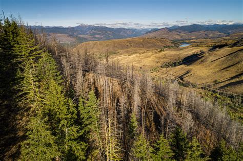 Fighting fire with fire in the Methow Valley UW News