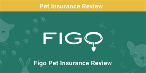 Figo Pet Insurance Review 2024 - Pros, Cons,