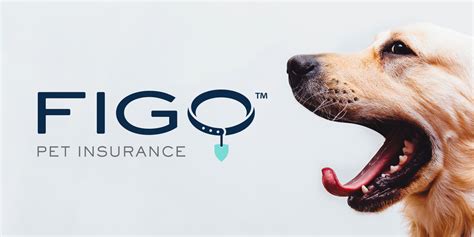 Figo pet insurance through costco. Things To Know About Figo pet insurance through costco. 