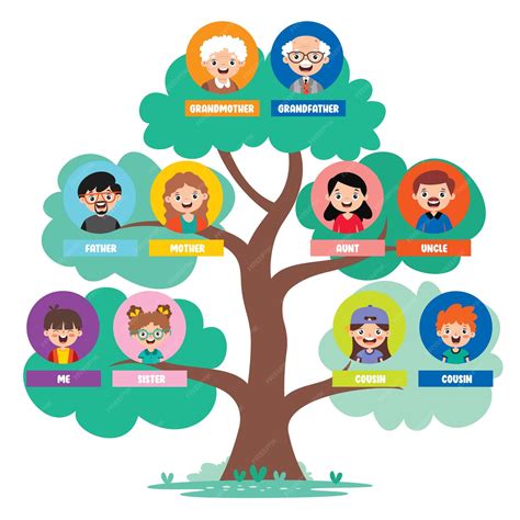Figuras Del árbol Genealógico Genealógico PNG ,dibujos El árbol De La
