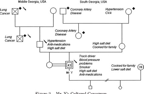 Figure 2 from Cultural genogram A tool for teaching and practice