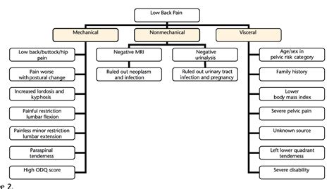 Figure 2 from Differential Diagnosis of Endometriosis in a Young Adult