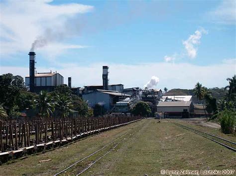 Fiji Sugar Corporation: $40 Million Paid Out To Cane …