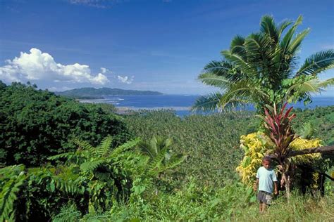 Read Online Fiji By Rob Kay