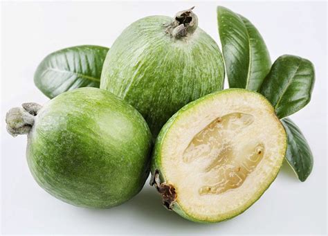 If you prune your feijoa annually – you’ll find 
