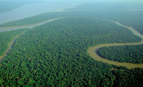 File:Amazon rainforest.jpg - Wikimedia Commons