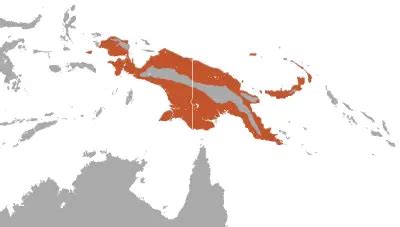 File:Bismarck Flying Fox area.png - Wikimedia Commons