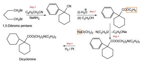 File:Dicyclomine synthesis.svg - Wikipedia