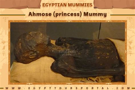 File:Mummy princess Ahmose Turin.JPG - Wikimedia Commons