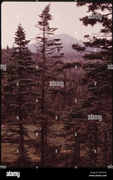 File:SUMMIT OF MOUNT MARCY, NEW YORK, FROM LAKE TEAR …