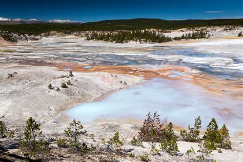 File : Ledge Geyser (Norris Geyser Basin, Yellowstone National Park ...