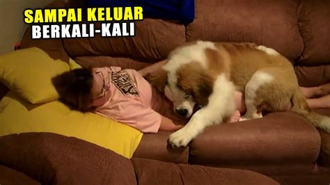 Filem ngentot sama binatang. .  <a href=https://cocktail-competition.kianaassenheimer.com...