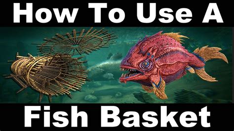 Filled fish basket ark. Fish Basket Command (GFI Code) The admin cheat command, along with this item's GFI code can be used to spawn yourself Fish Basket in Ark: Survival Evolved. Copy the command below by clicking the "Copy" button. Paste this command into your Ark game or server admin console to obtain it. For more GFI codes, visit our GFI codes list. 