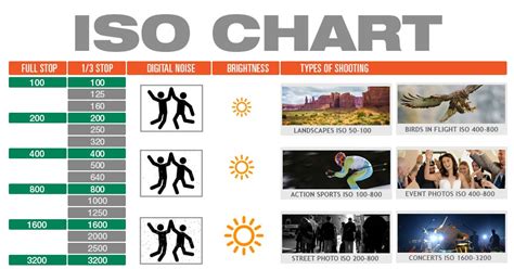 Film Iso Guide
