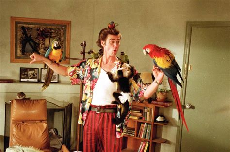 Film ace ventura pet detective. Foreword: The following is a complete mock interview based primarily on characters and events from the film ‘Ace Ventura: Pet Detective’. Any personal connection to the events probably means ... 