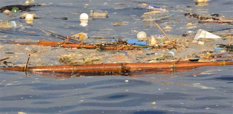 Film review: A Plastic Ocean shows us a world awash with rubbish