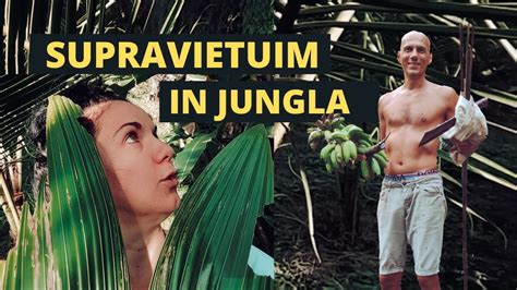Filme online supravietuire in jungla.  Walkabout.  Acesta va lua captivă o echi...