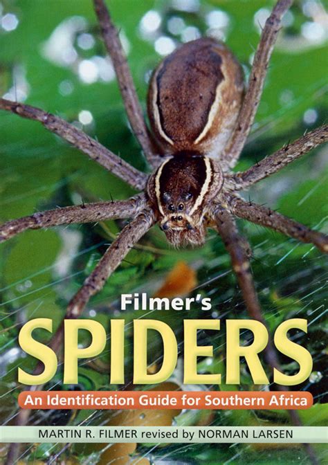 Filmers spiders an identification guide for southern africa. - Jogo buzios online gratis pai eduardo oxala.