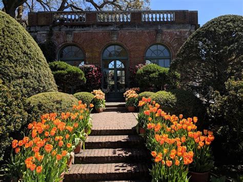 Filoli photos. Filoli blooms all year round. Our horticulturists draw on historic photos and oral histories to inspire seasonal plantings. The spring display features daffodils, tulips, and hyacinths contrasted with blue violas, while the summer display uses zinnias, roses, and salvias. 