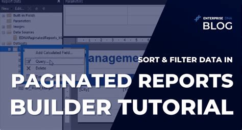 Filter, group, and sort data in paginated reports (Report …