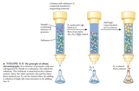 Filtration Efficiency - an overview ScienceDirect Topics