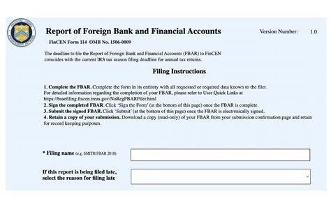 FinCEN Form 114 Everything You Need to Know to File the FBAR Form