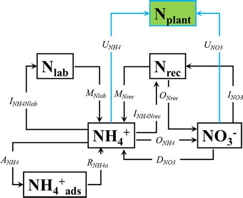 FinSet in nLab