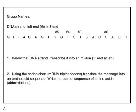 Final Exam Prep Questions 1) A particular triplet of bases in the