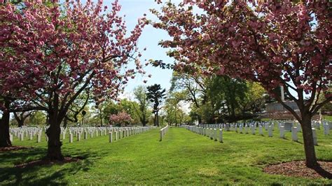 Final honors: Veteran Affairs seeks to boost Burial Benefit Awareness