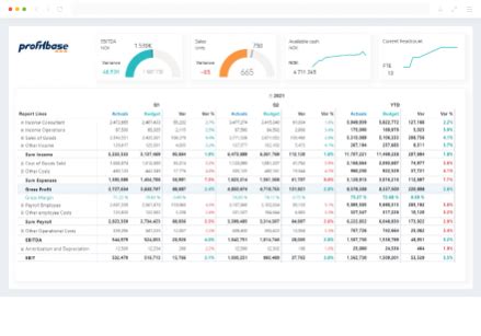 Financial Reporting Matrix for Power BI Profitbase