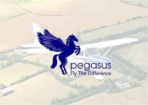 Financing PegasusFlightSchool