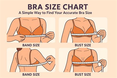 Find Bra Size Chart