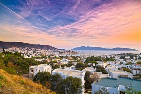 codini.rgarabwor.edu.pl. 