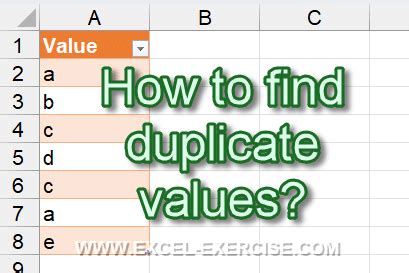 Find Duplicate Value in Excel Excel Tutorial