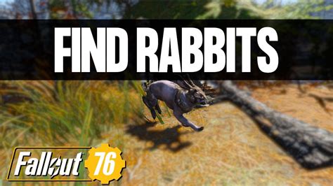 Find Fallout 76 Rabbits With Ease Daily Challenge Location