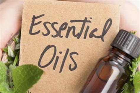 Find Your Local Young Living Essential Oils Distributor - Mi …