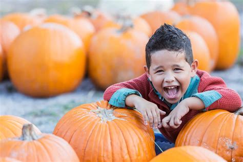 Find a pick-your-own pumpkin patch in Colorado - UCHealth