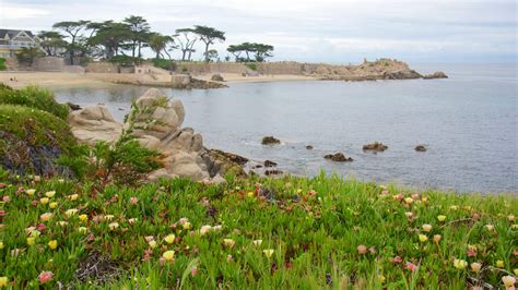 Find beach hotels in Pacific Grove, CA - Expedia