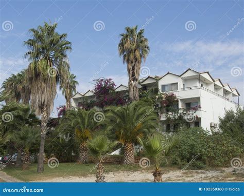 Find hotels near Patara Beach, Türkiye - Expedia.com