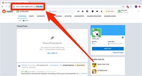 Find reddit user. Go to your preferences page. Under "beta preferences", you will see an option which says "View user profiles on desktop using legacy mode". Tick this. This selection is permanent but, as it indicates, it applies only when using the desktop website (it won't change what you see on the mobile website). If you are using the Reddit Enhancement ... 
