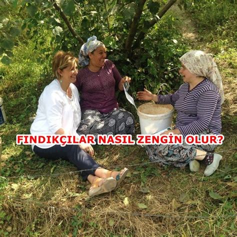 Findikcilar Halı ve Koltuk Yıkama