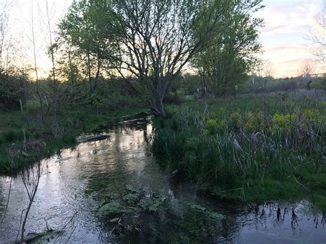 Finding Peace in Nature: Cool Spring Preserve