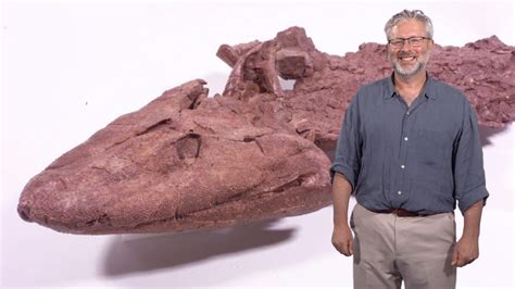 Finding Tiktaalik, the Fossil Link Between Fish and Land Animals