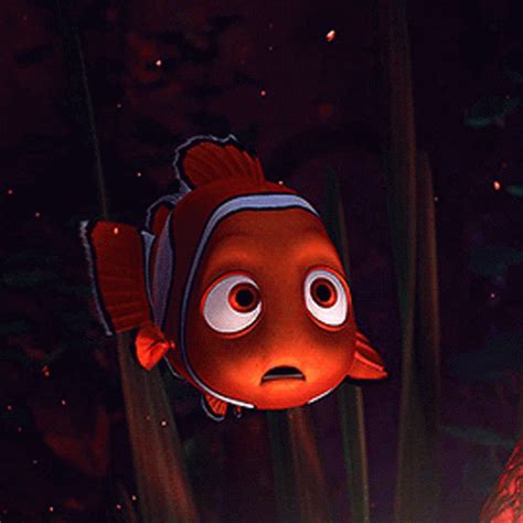 Finding nemo gif. Things To Know About Finding nemo gif. 