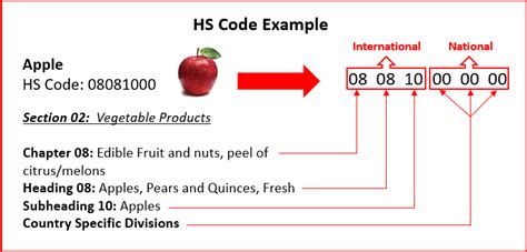 Finding the right product code (HS) Business.gov.nl