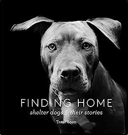 Read Finding Home Shelter Dogs And Their Stories A Photographic Tribute To Rescue Dogs By Traer Scott