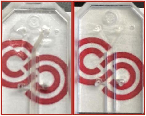 Fine Tuning Organ Chip Technology