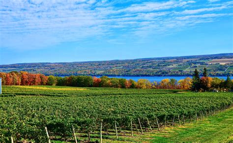 Finger Lakes – Finger Lakes Wine Transportation – Seneca …