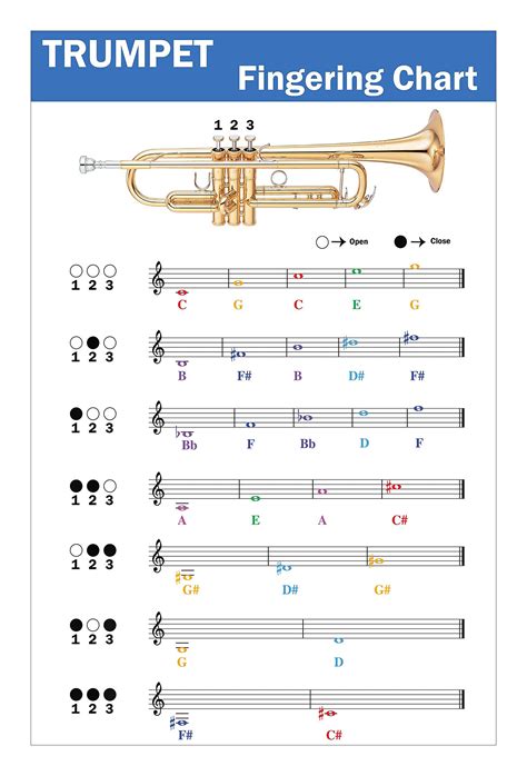 Fingering for a trumpet. Trumpet minor scales will be added if there is a lot of activity on the Major Scales. A Chromatic scale is pretty much playing the fingering chart and you can start it anywhere. By the second year of playing most band teachers want to hear you play the one that appears on the bottom of the sheet. 