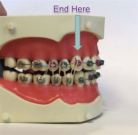 Finishing elastics.  Finishing Items for your products and packaging Cust...